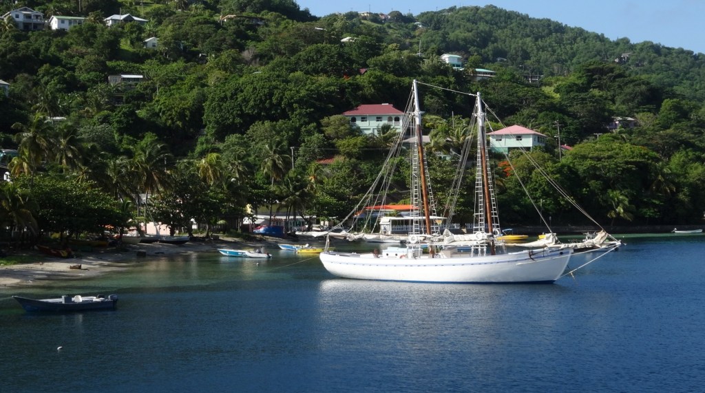 The Friendship Rose.